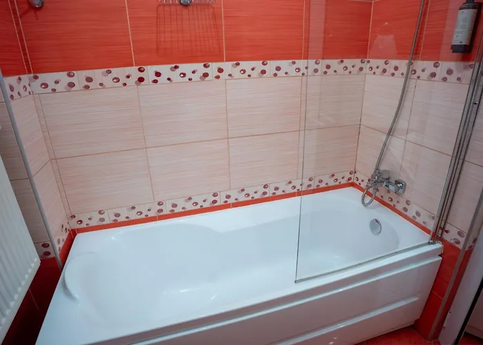 公寓 Barrique Eminescu 布拉索夫