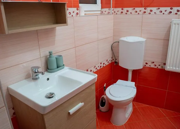 Barrique Eminescu * ブラショフ